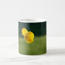 Buttercup Mugs