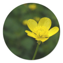 Buttercup Stickers stickers