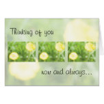 Buttercup... thinking of you cards