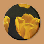 Buttercup Tulips magnets