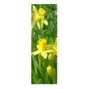 Buttercup Yellow Daffodils Bookmark business cards
