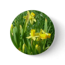 Buttercup Yellow Daffodils Button