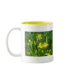 daffodils, yellow, flowers, flower, garden, yard,