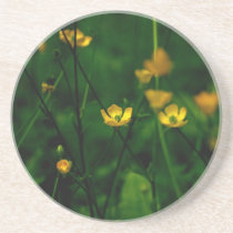 Buttercups Coaster