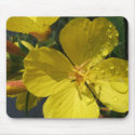 Buttercups Mousepad by wondersofwnc Buttercups Mousepad