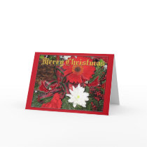 Butterfairy Christmas Card by wizardmarilyn Butterfairy Christmas Card