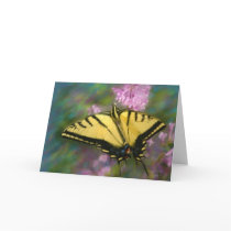 Butterfles Bring Sunshine Card