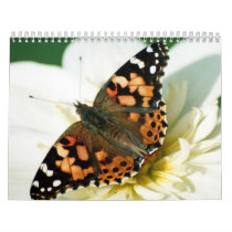 Butterflies 15 Month Calendars