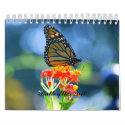 Butterflies 2010 Calendar