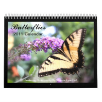 Butterflies 2011 Calendar