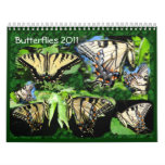 Butterflies 2011 ~ calendar