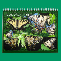 Butterflies 2011 ~ calendar
