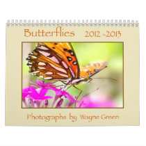 Butterflies 2012 - 2013 wall calendar