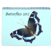 Butterflies 2012 calendar