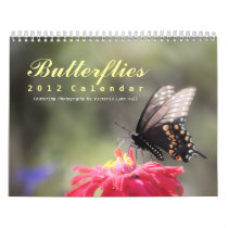 Butterflies 2012 Calendar