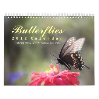 Butterflies 2012 Calendar calendar