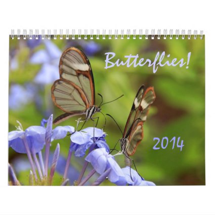 Butterflies! 2014 Photo Calendar