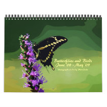 Butterflies and Birds Calendar