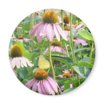 Butterflies and Daisies magnets