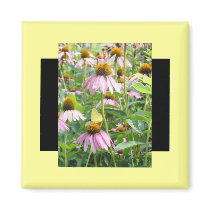 Butterflies and Daisies magnets