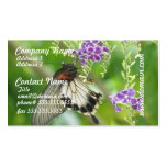 Butterflies and Flowers  Business Cards