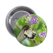 Butterflies and Flowers  Pin