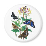 Butterflies and Honeysuckles Magnets