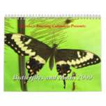 Butterflies and Moths 2009 Wall Calendars