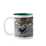 Butterflies and Stones Mug