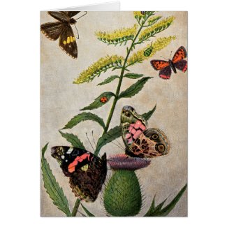 Butterflies and Thistle Greeting Card