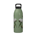 Butterflies and White Roses Drinking Bottles