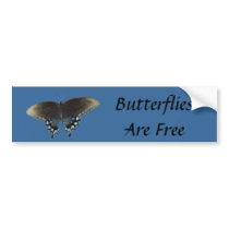 Butterflies Are Free bumper stickers by Priscilla48 Butterflies Are Free bumper stickers