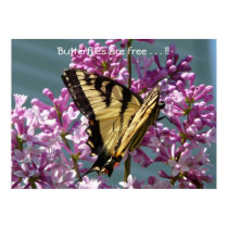 Butterflies are free . . . !! posters by VermontCardCompany Butterflies are free . . . !! posters