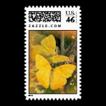 BUTTERFLIES AT FRIARS stamps