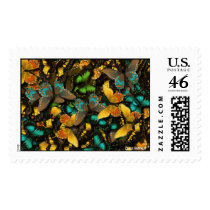 Butterflies, baxiemur* postage