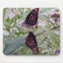Butterflies BF_164_2 Mousepad