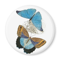 Butterflies - Blue Magnets