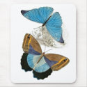 Butterflies - Blue mousepads by Memory_Lane Butterflies - Blue mousepads