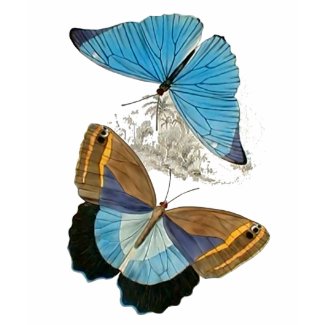 Butterflies - Blue shirt