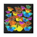 Butterflies! Butterflies! Magnet by Aquavel Butterflies! Butterflies! Magnet