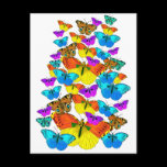 Butterflies! Butterflies!  Postcard postcards