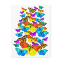 Butterflies! Butterflies! Postcard by Aquavel Butterflies! Butterflies! Postcard