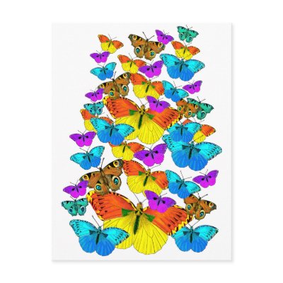 Butterflies! Butterflies!  Postcard by Aquavel
