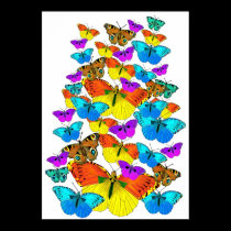 Butterflies! Butterflies! posters