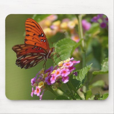 Butterflies, Butterfly Lovers Gifts Mousepad by WildByDezign