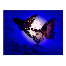 Butterflies - Butterfly Post Cards