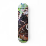 Butterflies Butterfly Skateboard Deck
