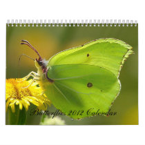 Butterflies Calendar