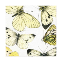 Butterflies Canvas Prints