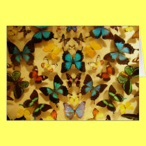 Butterflies cards by Priscilla48 Butterflies cards